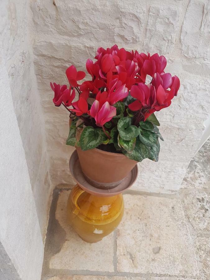 Dimore E Trulli Dell'Aia Antica Villa Alberobello Eksteriør bilde